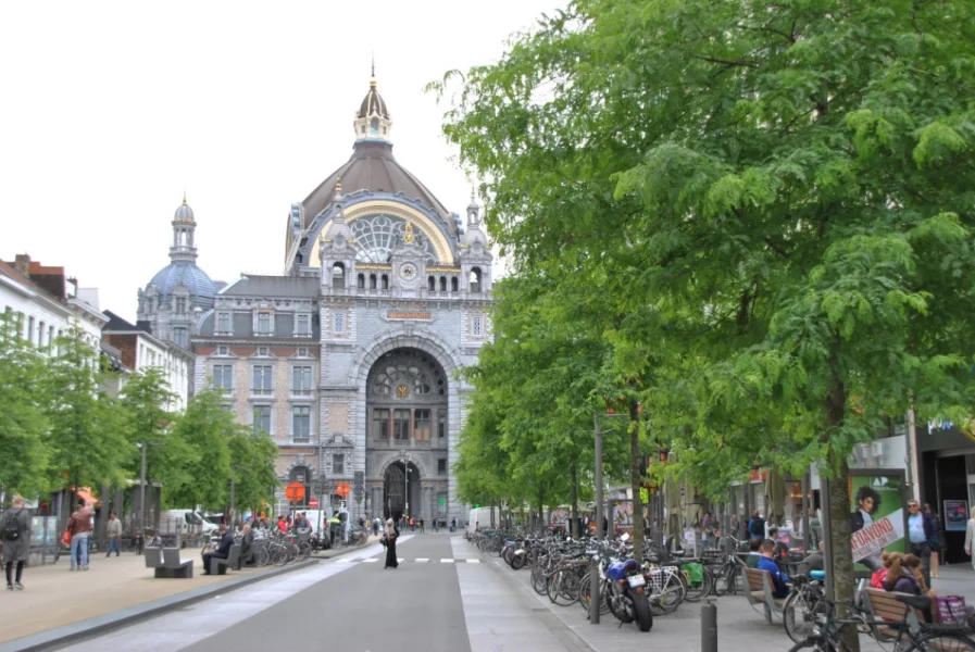 Bomen voor stations: Welke soorten zijn geschikt?