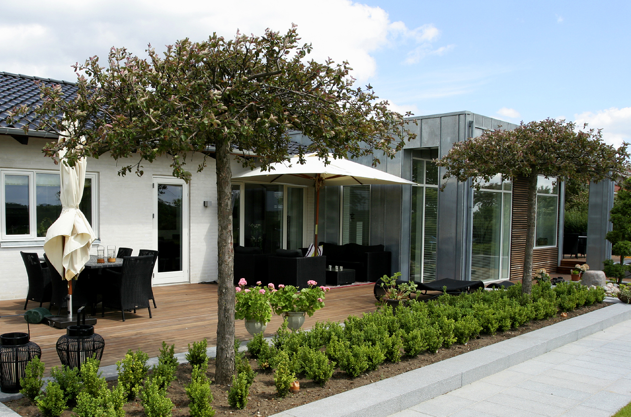 (Bijzondere) bomen voor kleine tuinen? Lees